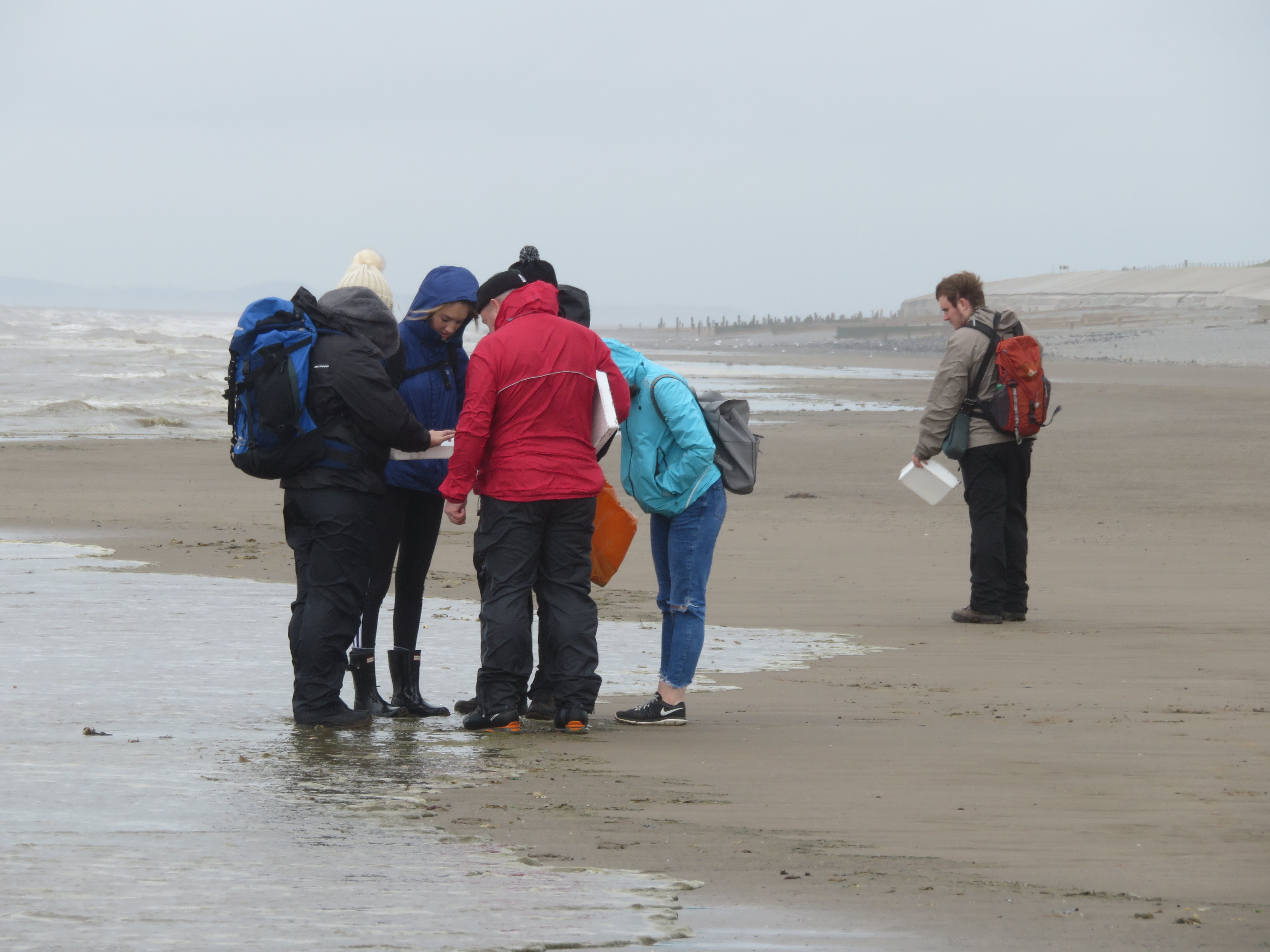 Wildlife Media students on field trip to Allonby beach