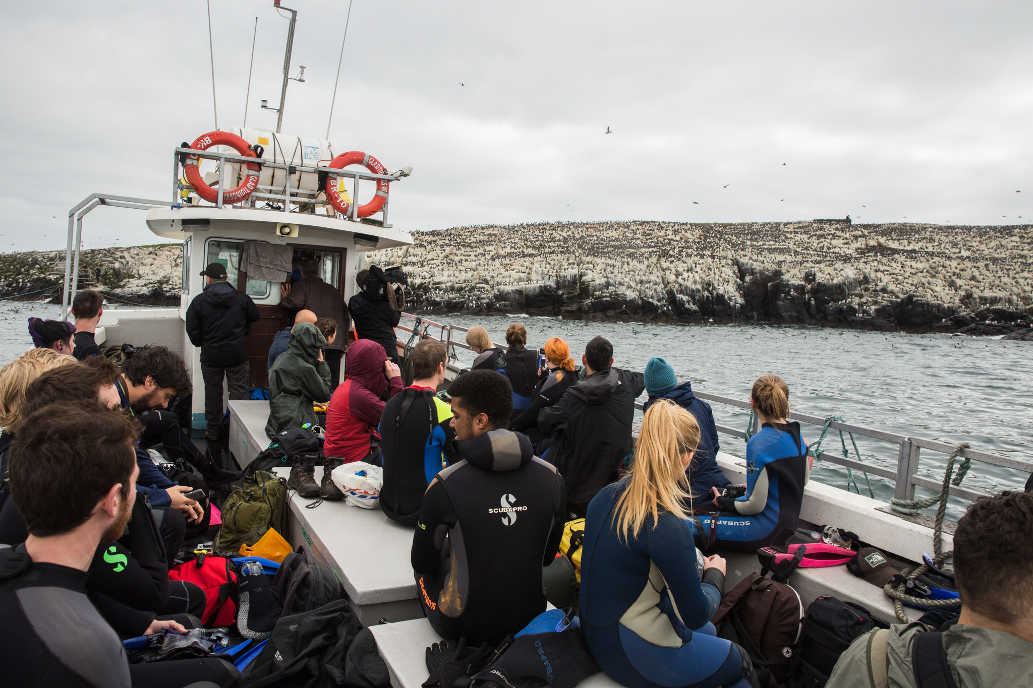 Wildlife Media students on field trip to the Farne Islands