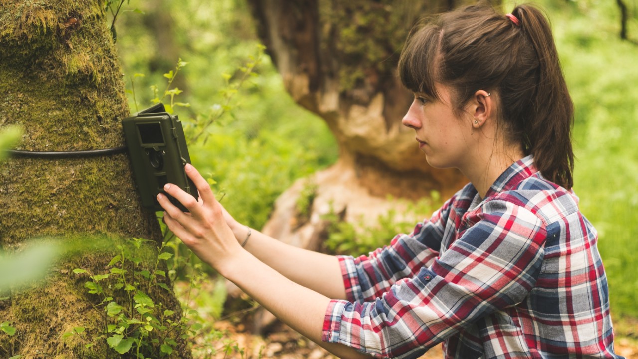 Wildlife Media - Rebecca Gibson setting camera traps