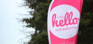 'hello' welcome sign 
