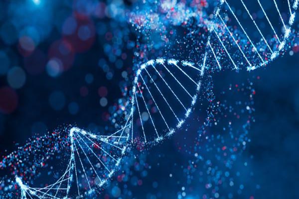 Module Advanced Genetics HSOB6005