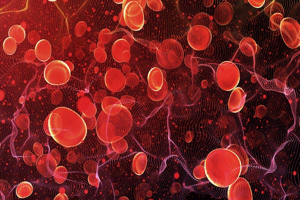 Module Haematology and Transfusion Science HSOB6109
