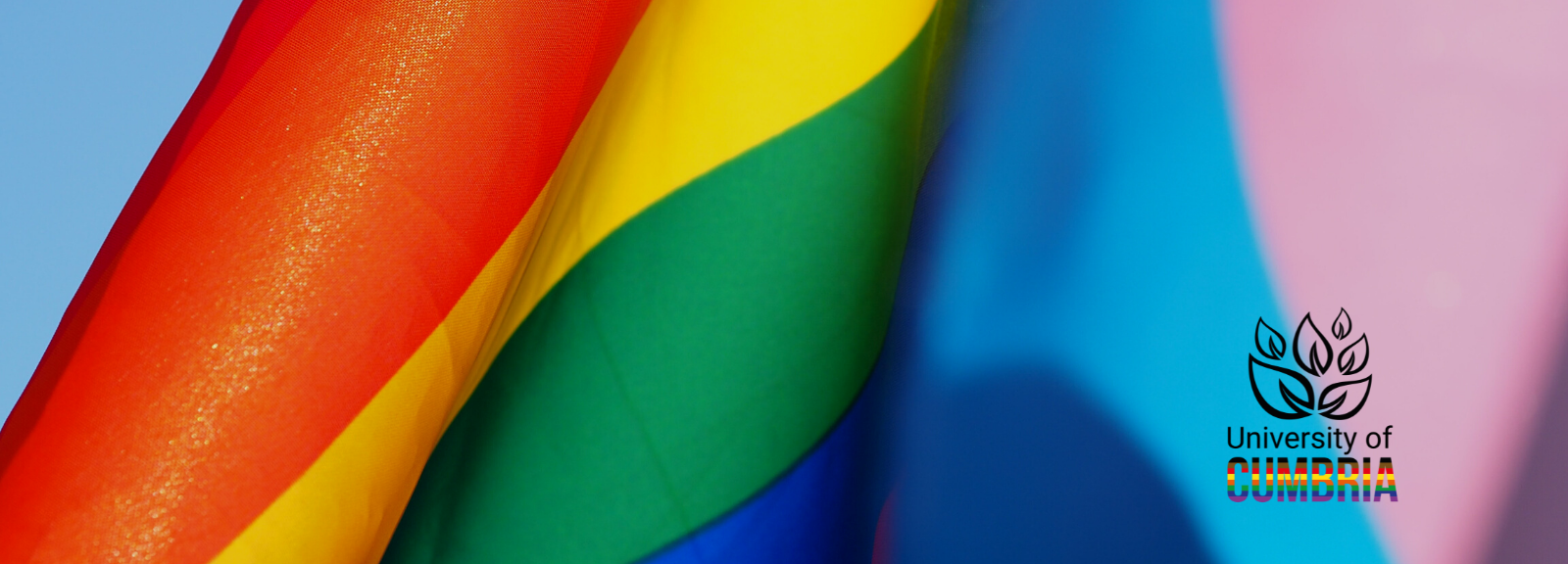 LGBTQ+ Staff Network Banner Image