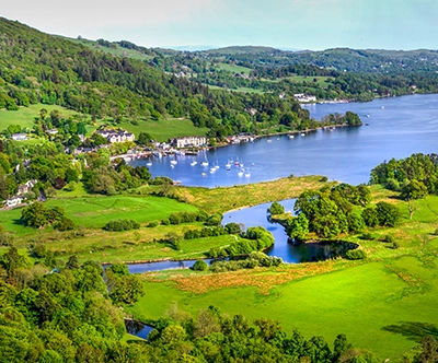 Environment and Sustainability