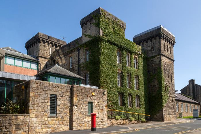 A castle like building covered in vines.