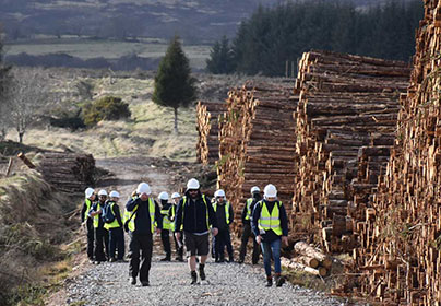 A group of forestry students in high vis walking through a forest
