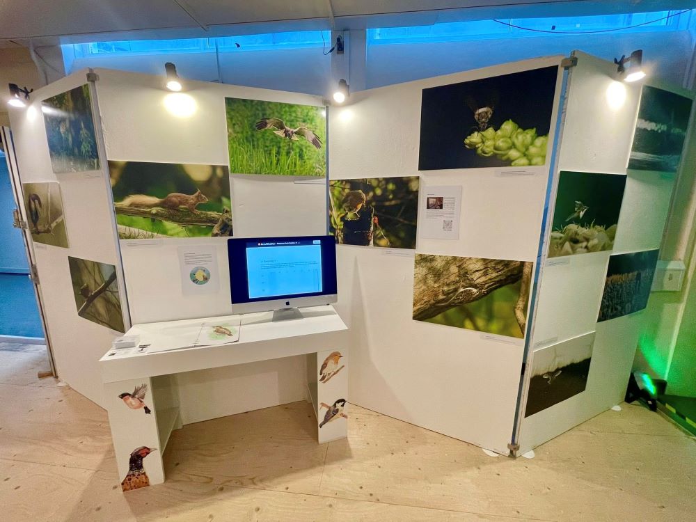 Example of student's work
