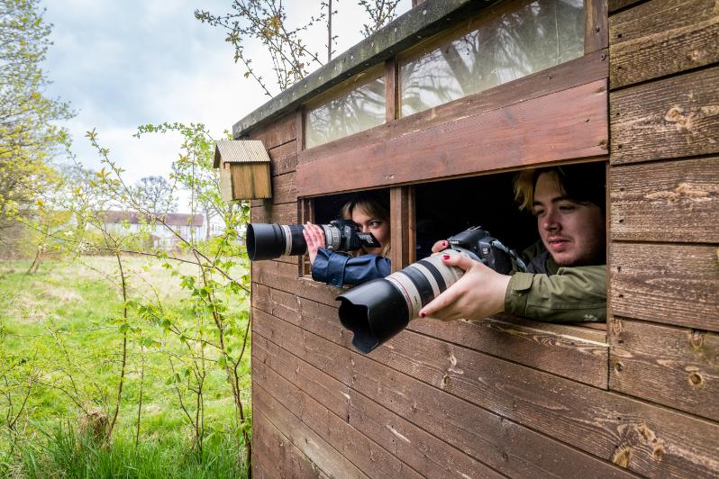 Wildlife Photography