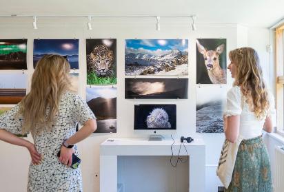 Wildlife Media at the University of Cumbria