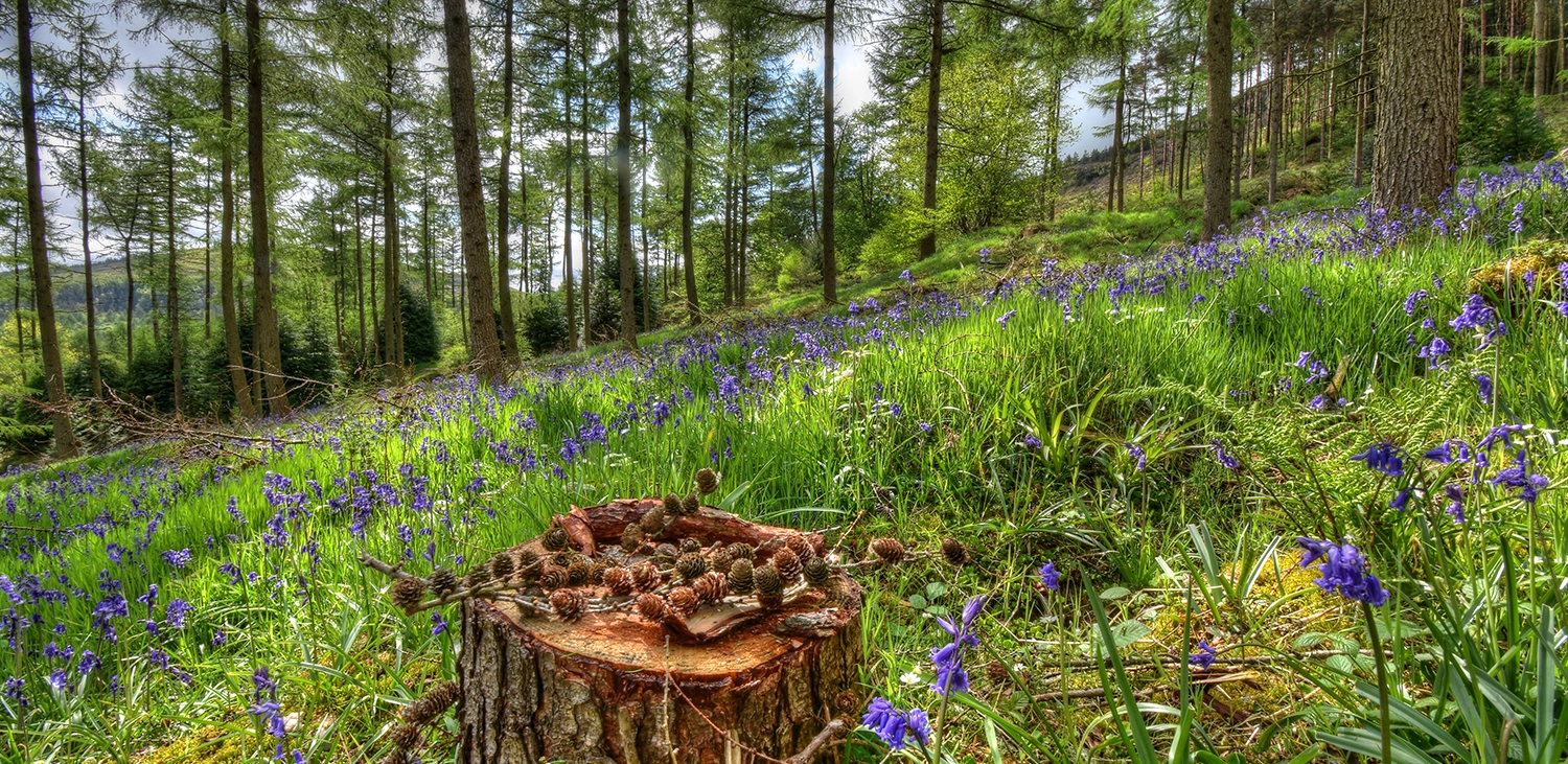 BOOM: Transforming lives and landscapes in South Cumbria