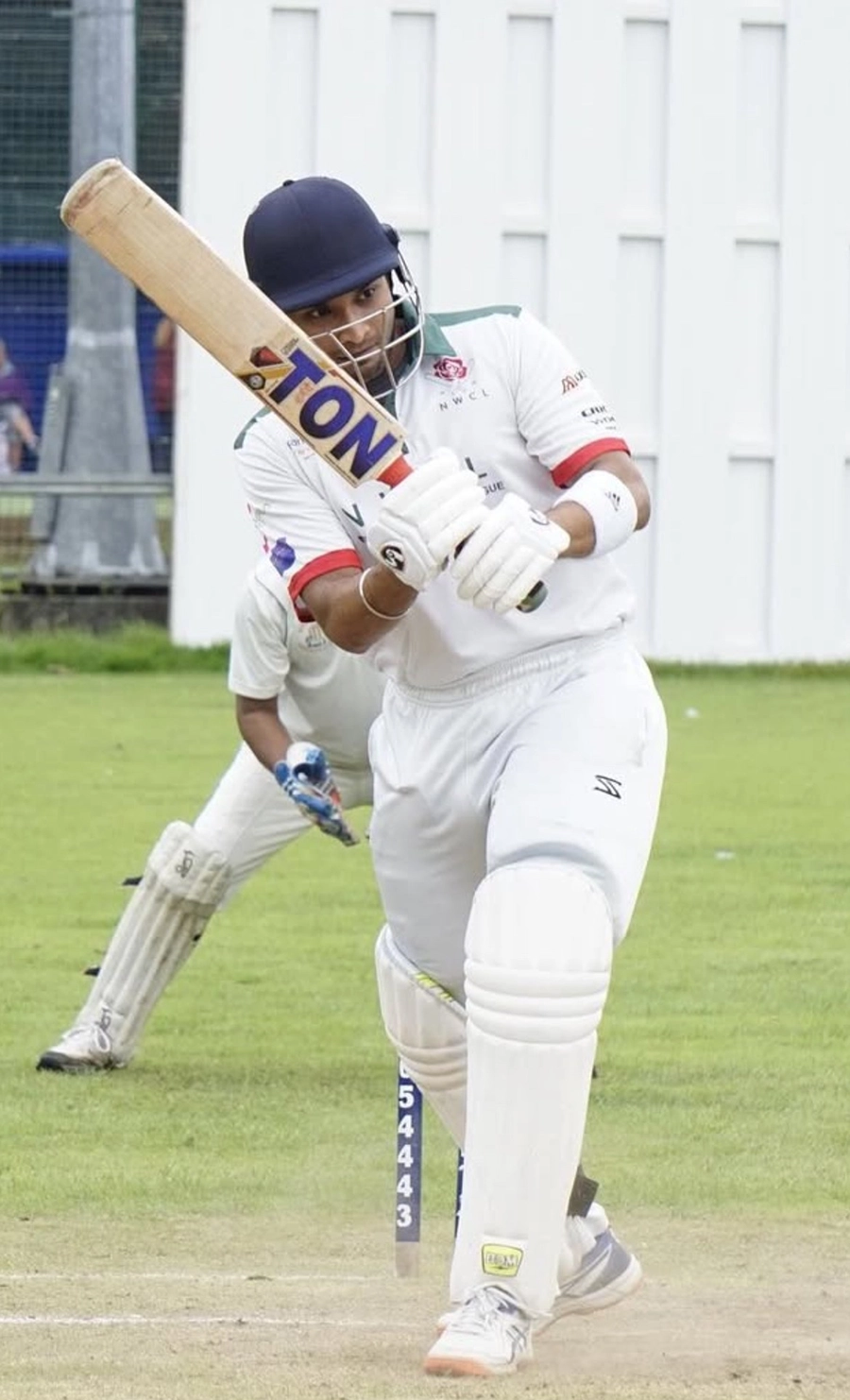 Cricket, Cricket