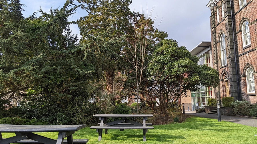 Fusehill Street nature, Fusehill Street nature