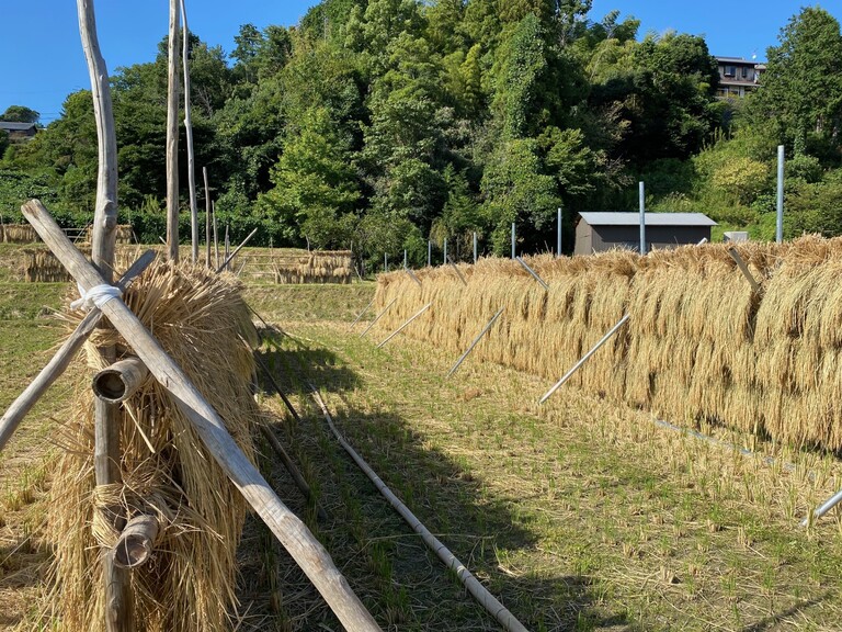 Multiple Capitals Approach for Upland Agricultural Systems