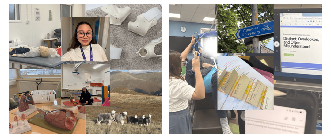 Ligia Villaroya collage, 