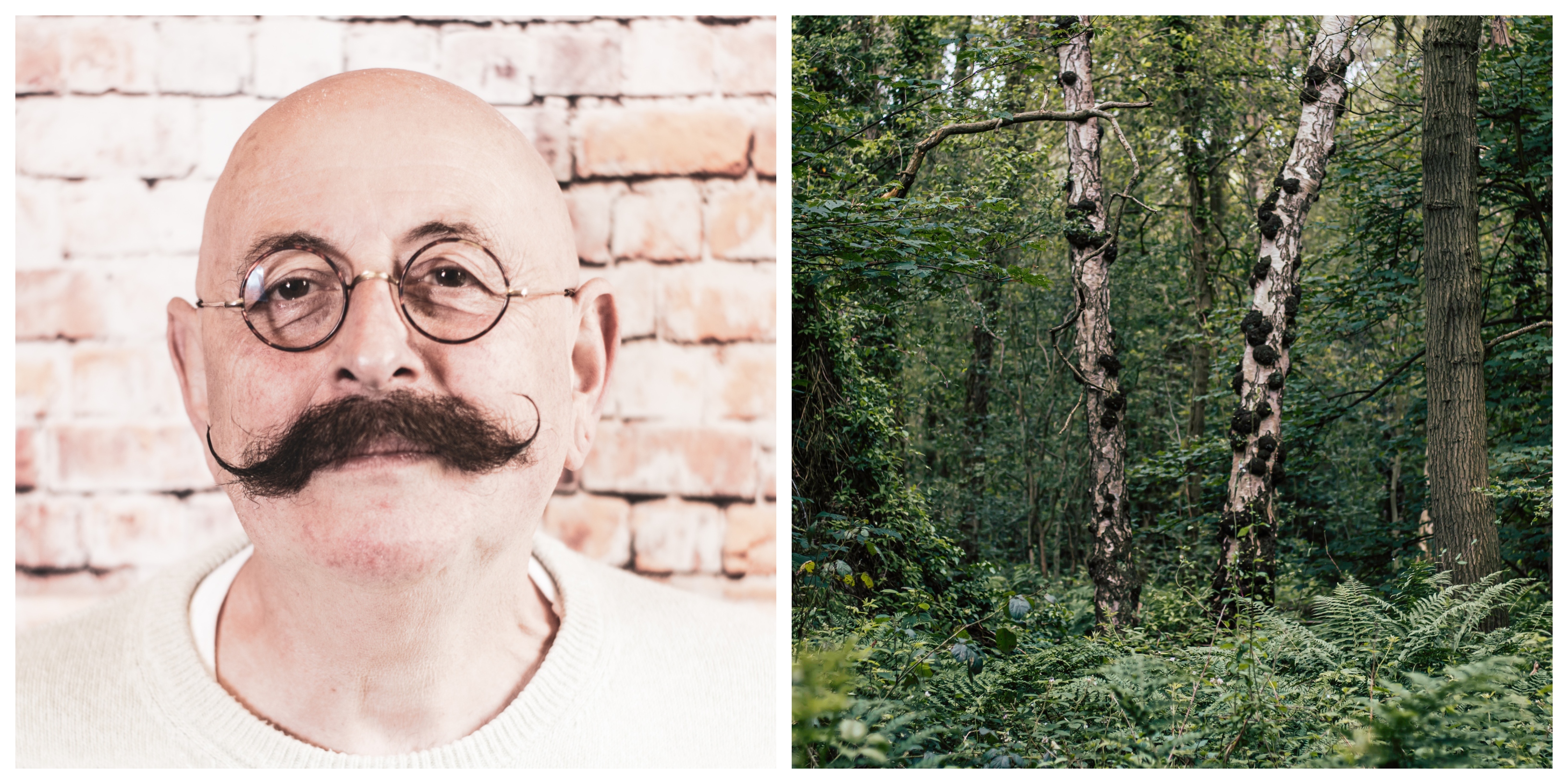 MA Show 2019 - Photography, Photography show - two images side-by-side, left image is a man with round glasses and a moustache, the right image is a forest
