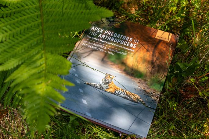 Apex Predators in the Anthropocene