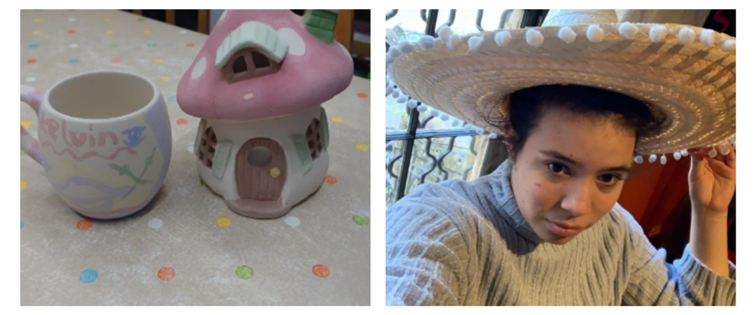 simone johnson bolanos collage 1, 