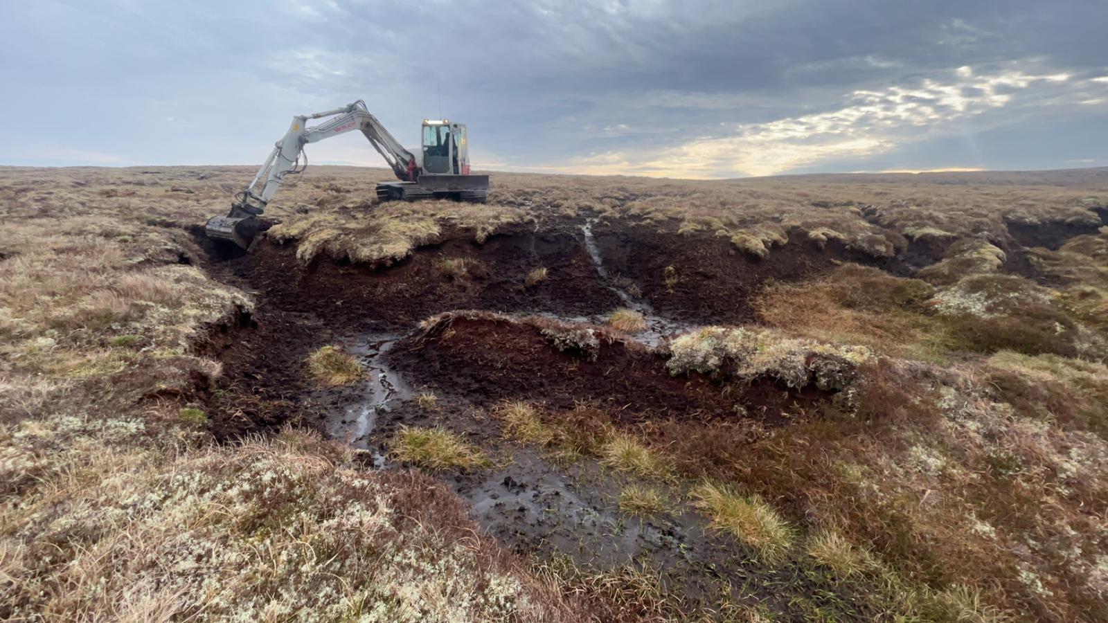 The Carbon Footprint of Peatland Restoration