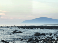Climate and Nature Education