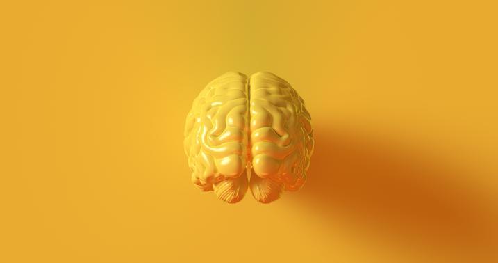 Yellow Brain Psychology, Yellow Brain Psychology thinking image 