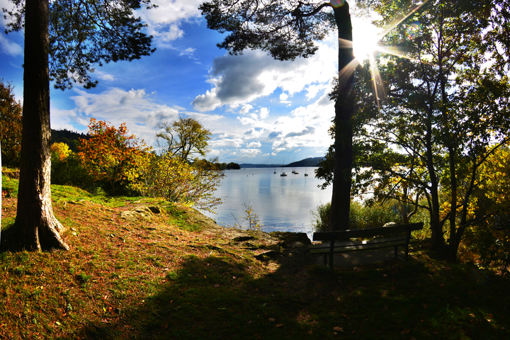 Autumn , Autumnal views