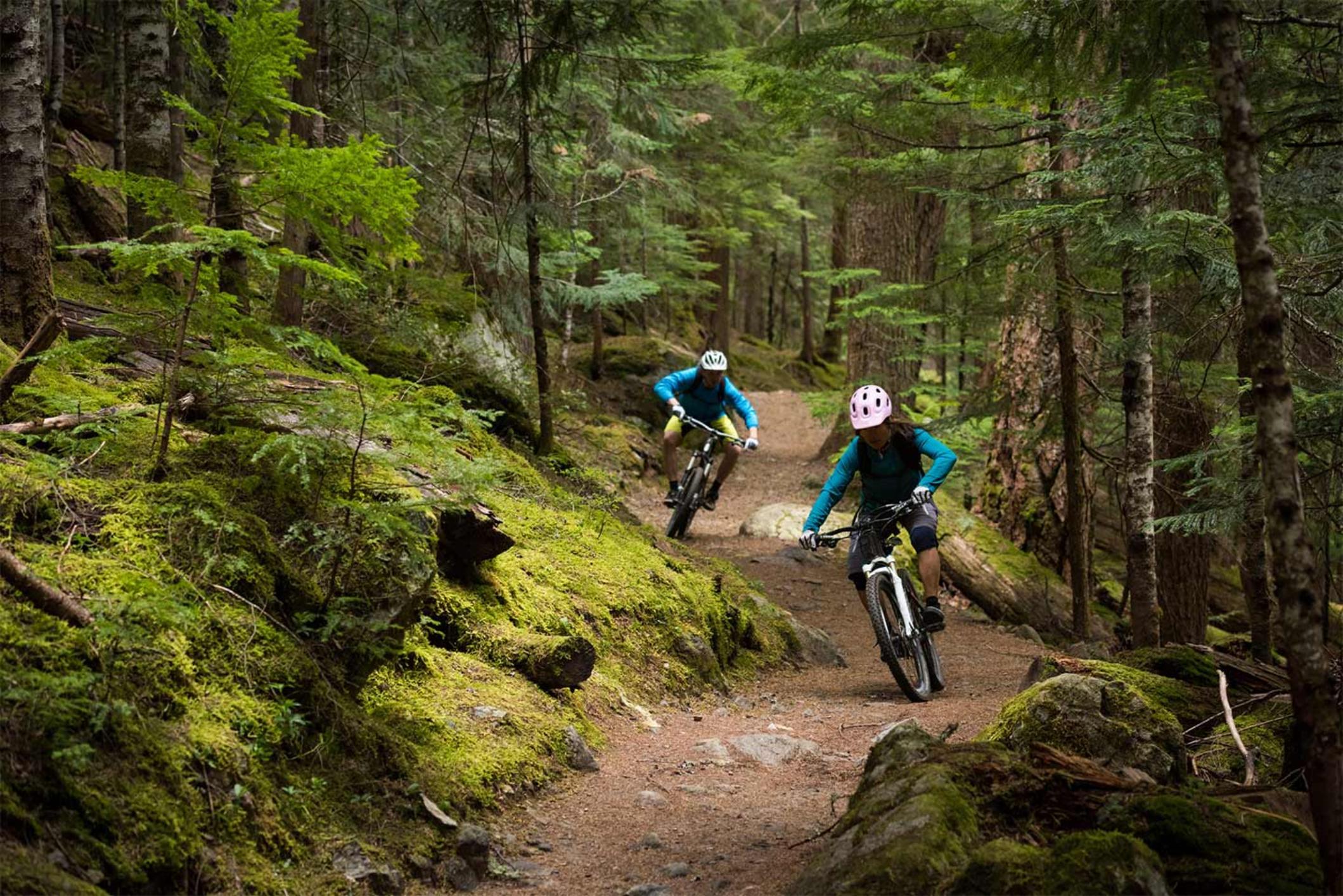 Mountain bikers in forest, Two people mountain biking through a forest path during the day.