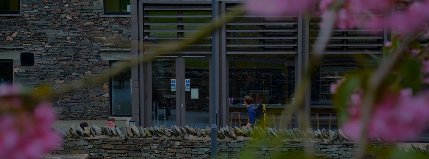 Robert Kennedy College: Content