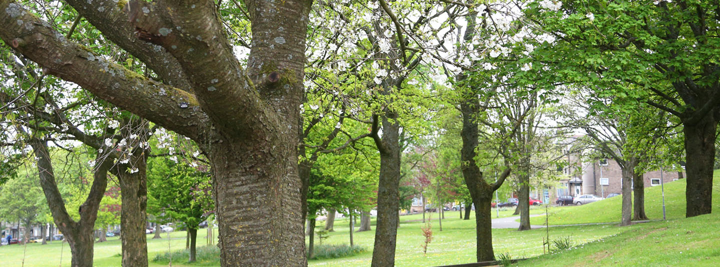 Energy and Carbon Management