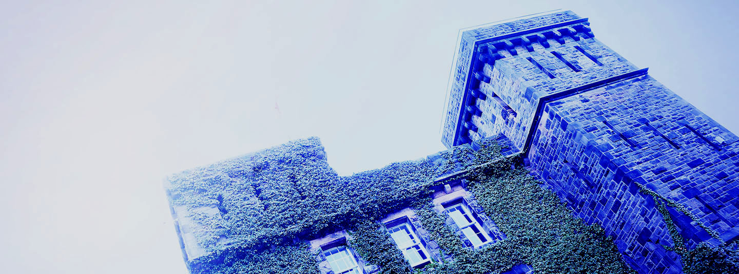 PPOverview