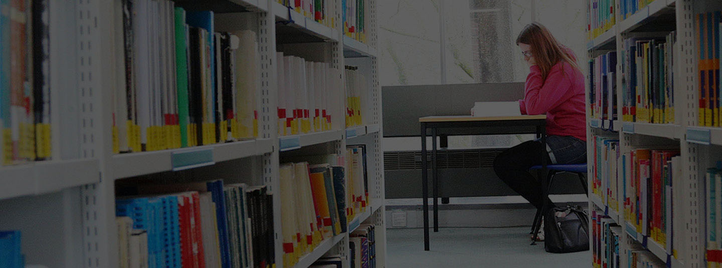 A student working in the library