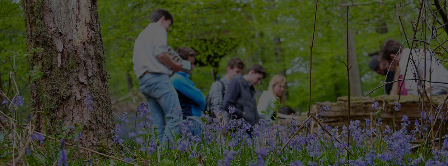 Conservation | University of Cumbria