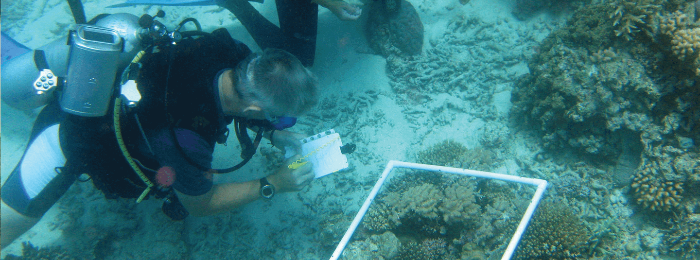 Marine and Freshwater Conservation (with sandwich year)