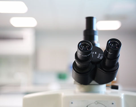 microscope in lab. original file name: Research.jpg