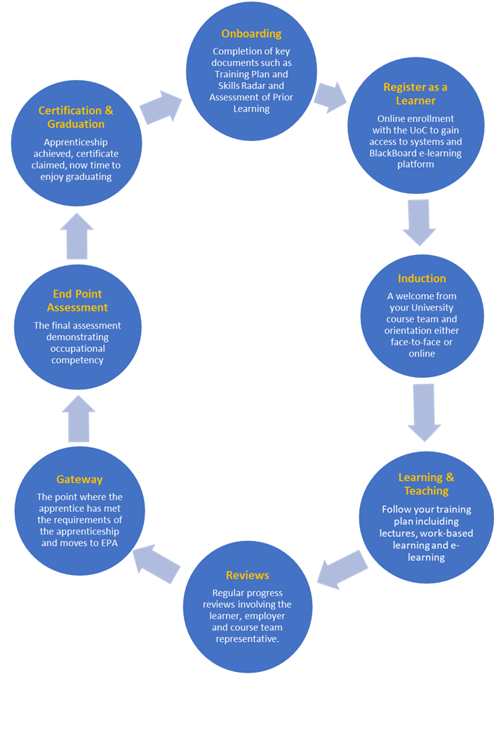 Apprenticeship Journey infographic, Apprenticeship Journey infographic