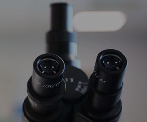 Close-up of the two eyepiece lenses of a black microscope