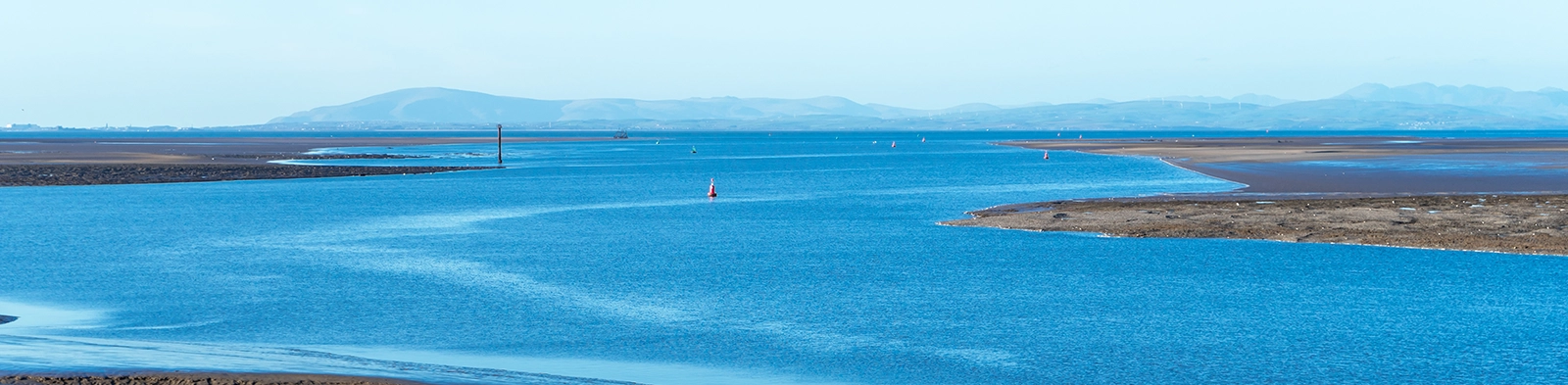 Our Bay, Our Future