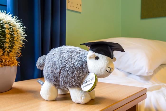Cumbria University sheep teddy
