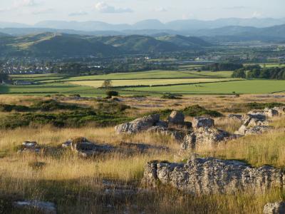 Human Nature Relations