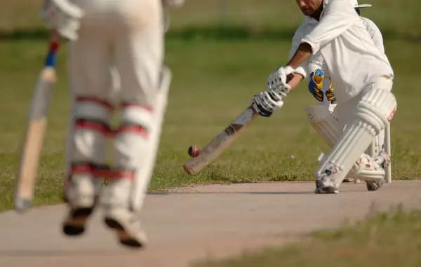 playing cricket
