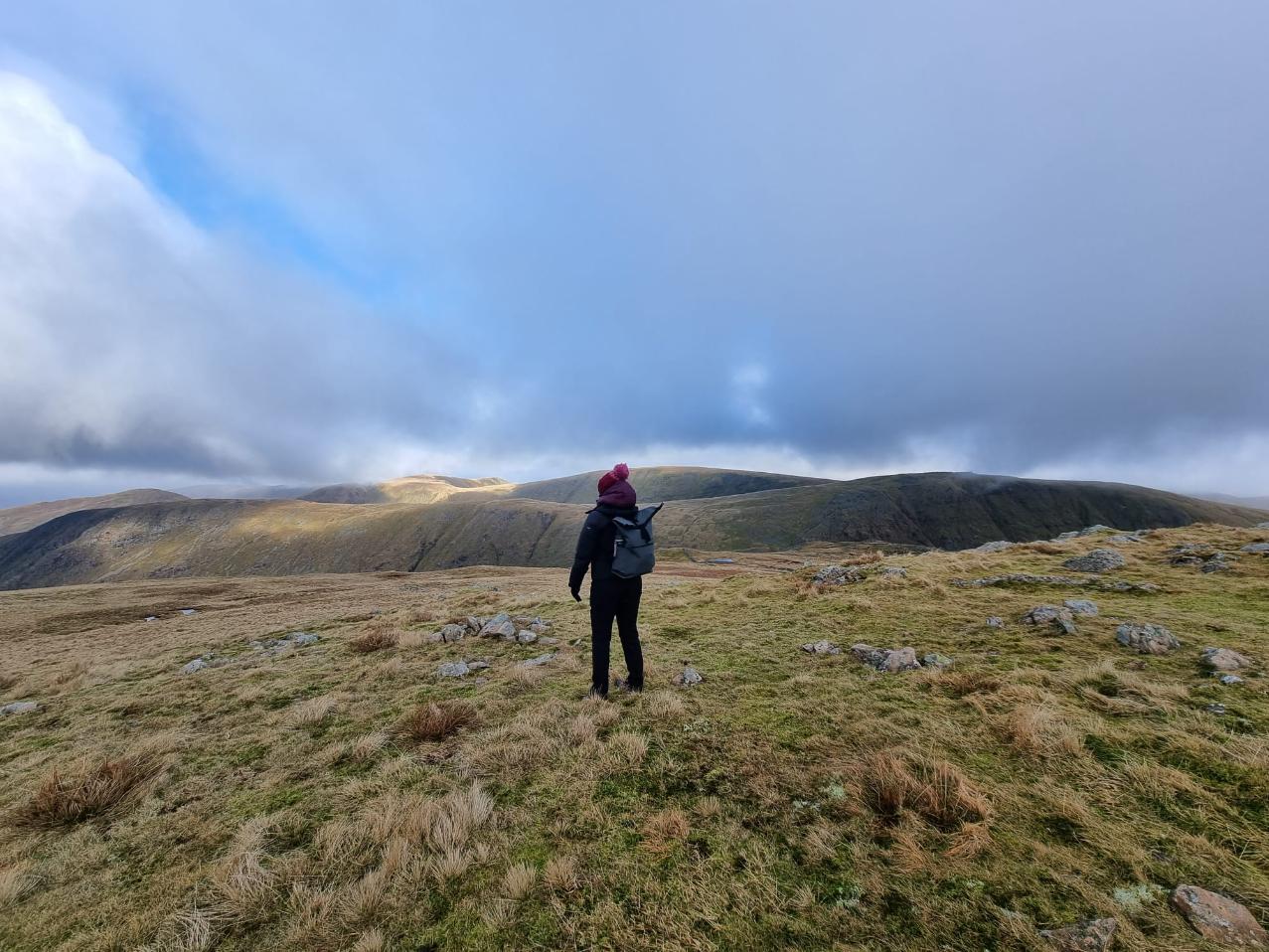 Abby exploring the fells.