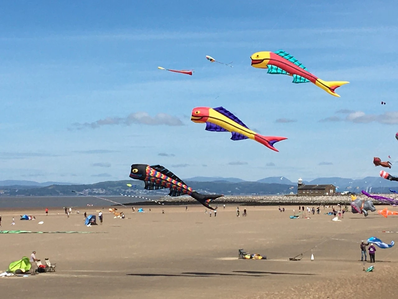 Kites flying on Morecambe Bay 