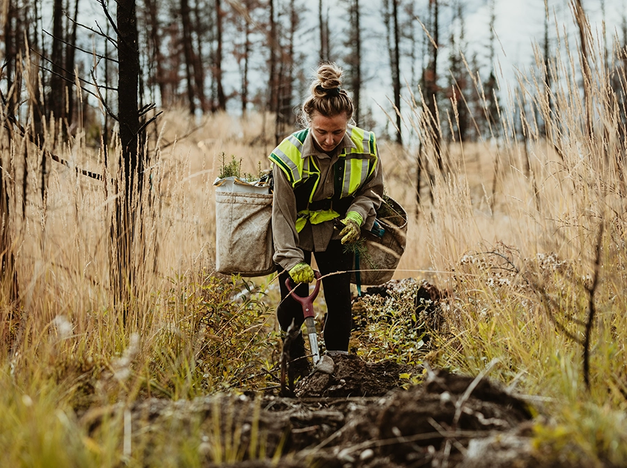 Apprenticeship Forestry Works Manager Apprenticeship