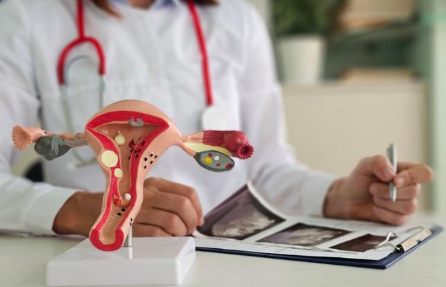 Module Gynaecological Ultrasound