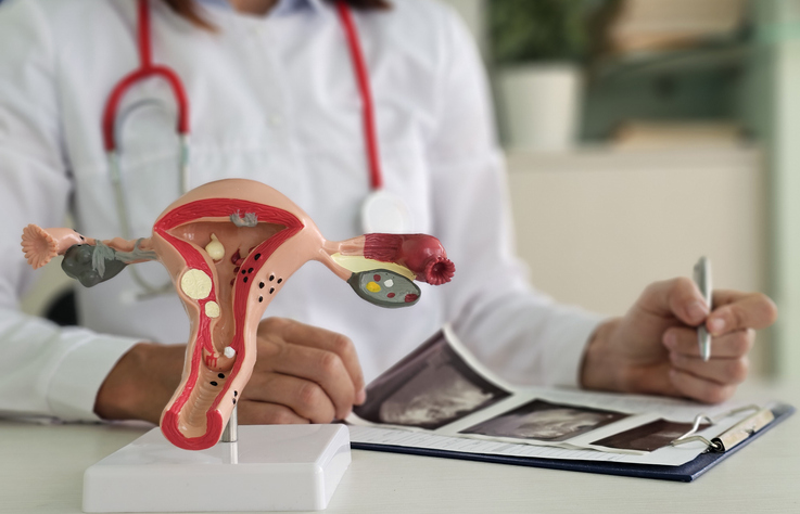 Gynaecological Ultrasound cover image