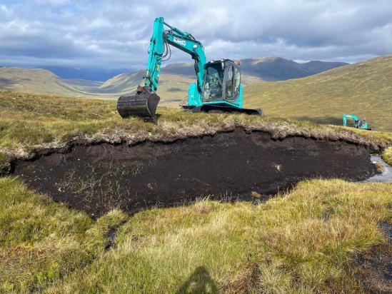 Landscape Restoration