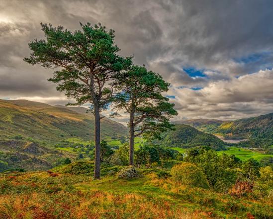 Landscape Carbon Stock Assessment