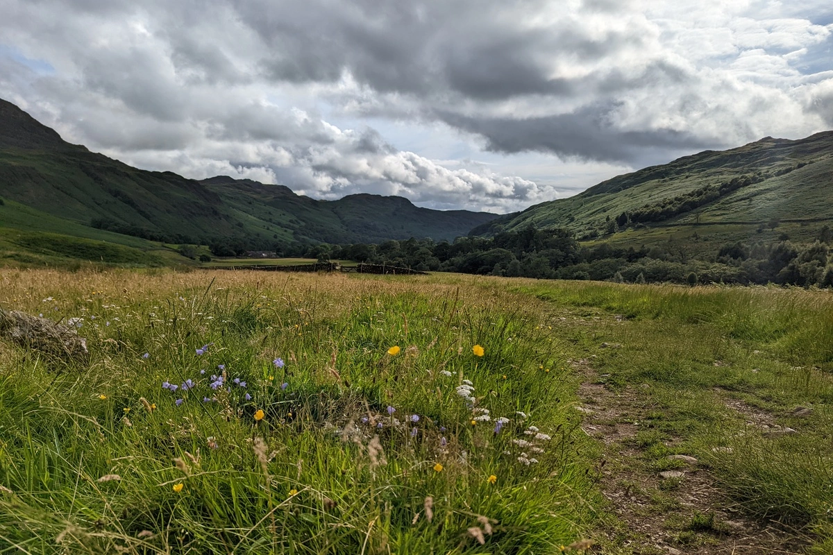 Mapping Environmental Assets