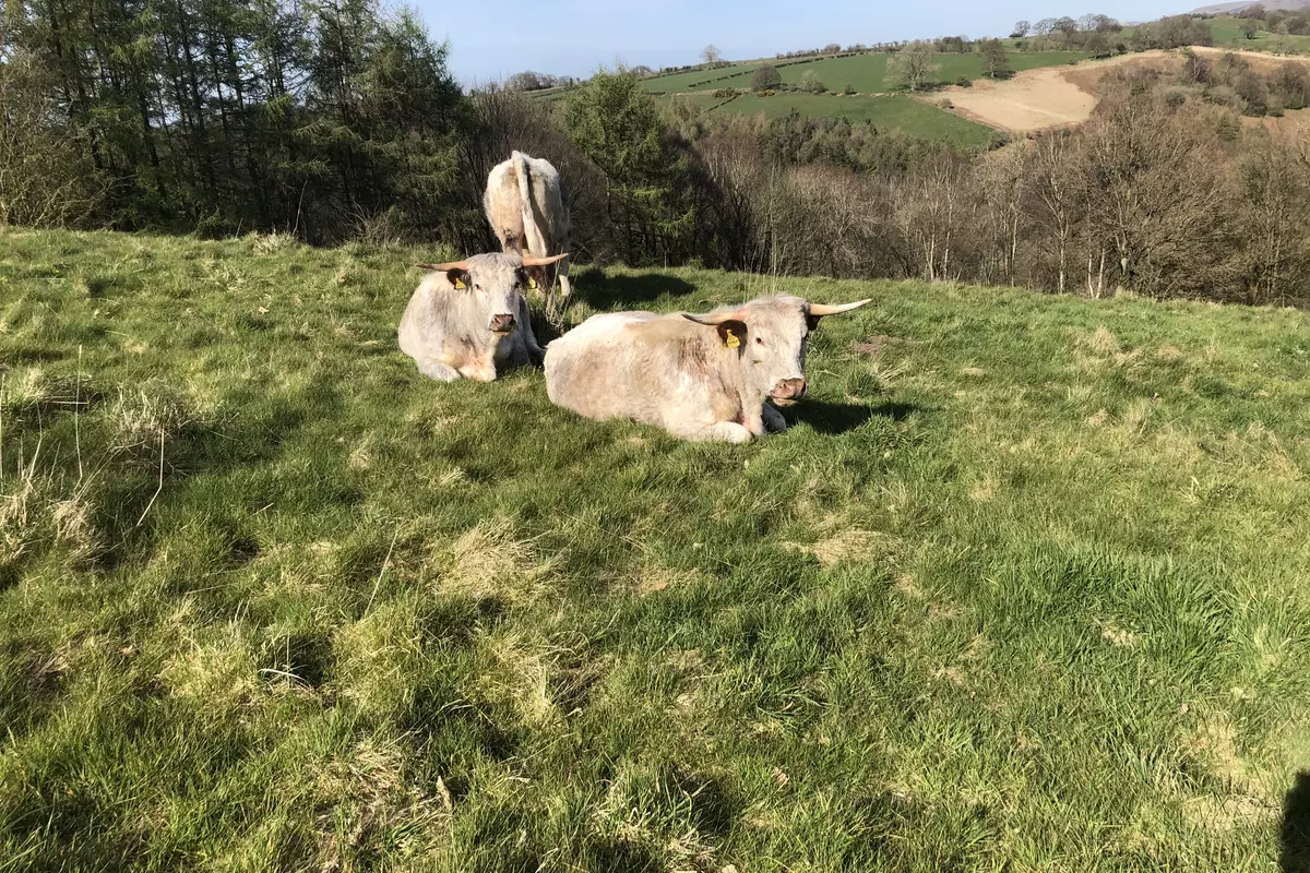 Farm Business Opportunities