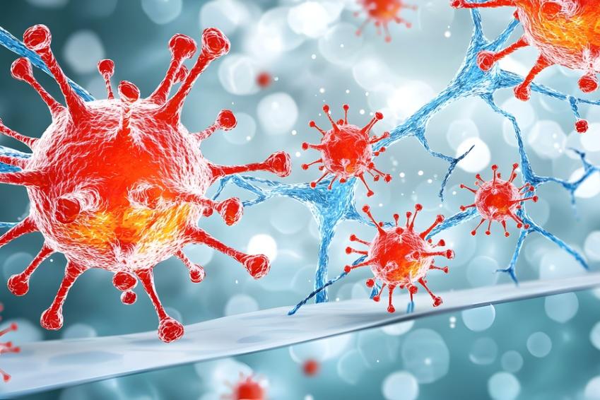 Pathophysiology and Disease in Practice cover image