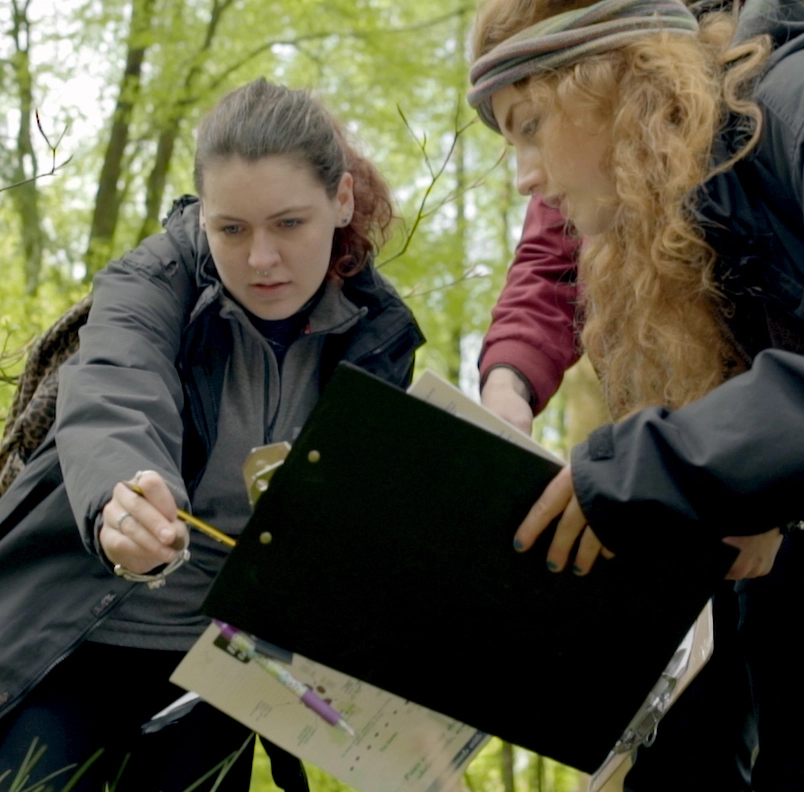 Woodland Ecology and Conservation